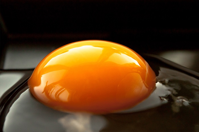 Is Boiled Egg Yolk Good for Plants