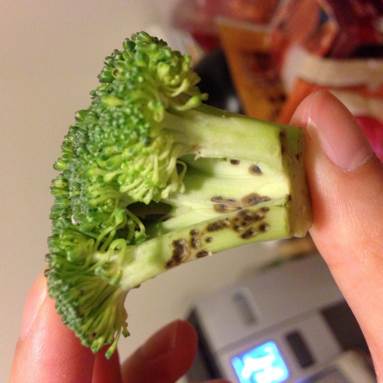 A picture of black and brown spots scattered across a single broccoli.